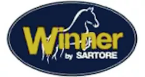 winner_424_300_160.jpg