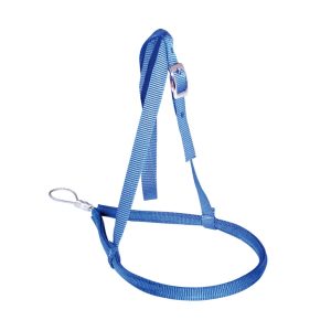 Noseband