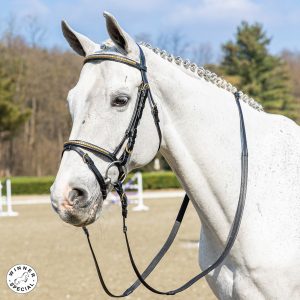 Testiera Winner con clinker oro